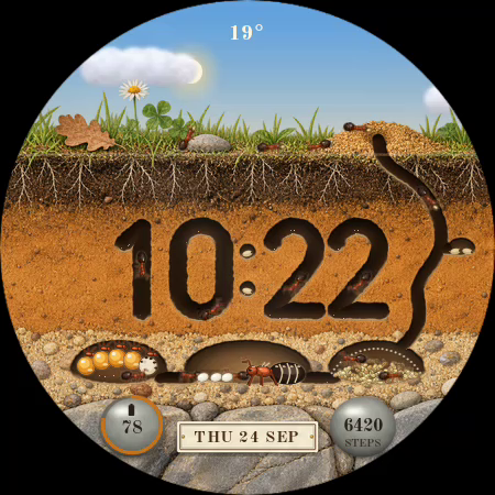 Formicary watch face