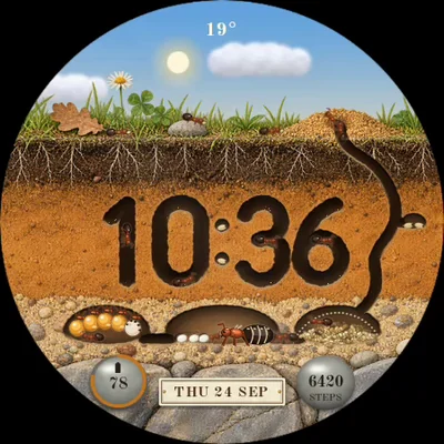 Formicary watch face